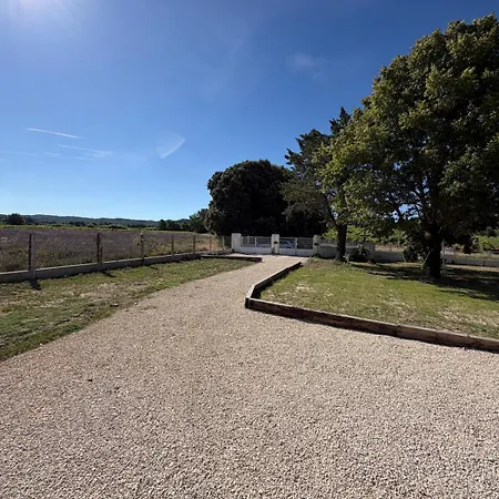 Baldomero Vila